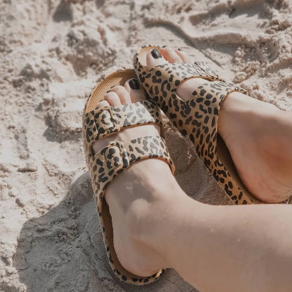 Freedom Moses Basic Slides